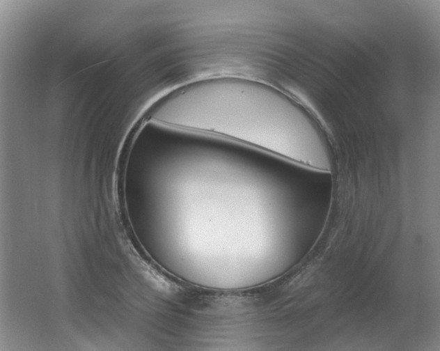 X0000062650932200512211030