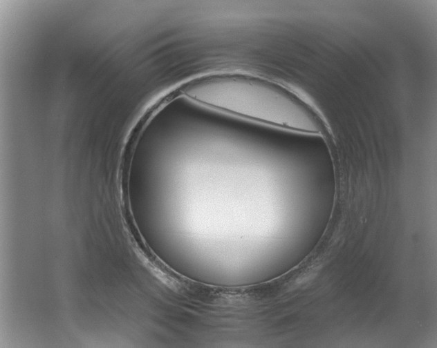 X0000062650935200512211030