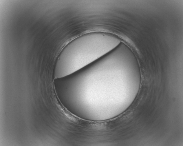 X0000062650937200512211030