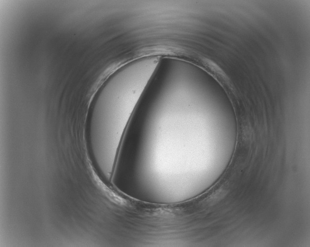 X0000062650938200512211030