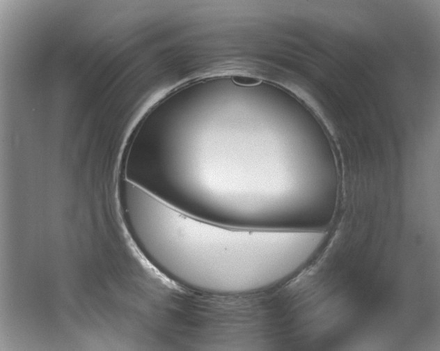 X0000062650949200512211030