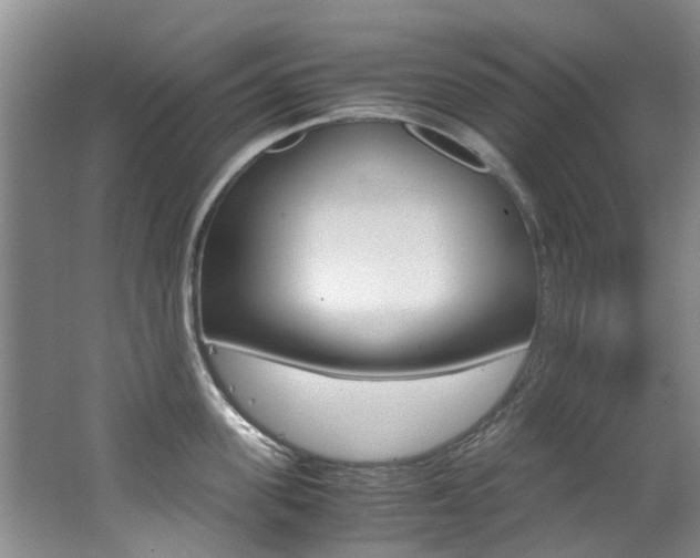 X0000062650955200512211030
