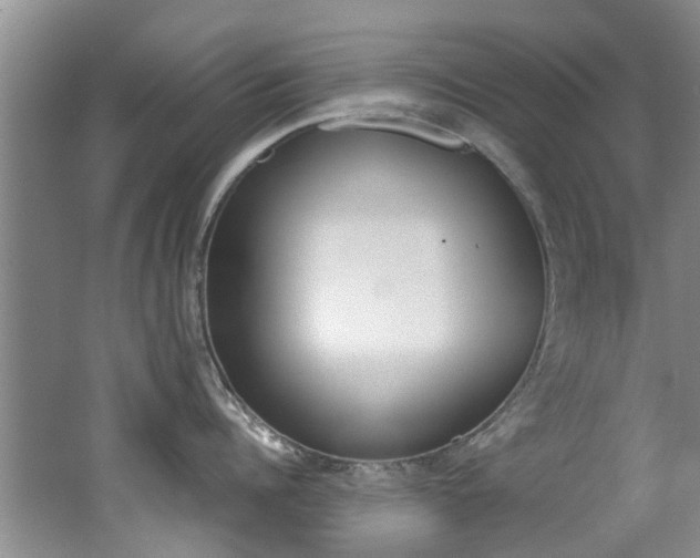 X0000062650960200512211030