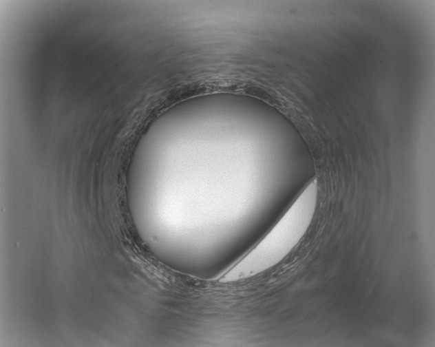 X0000062650961200512211030