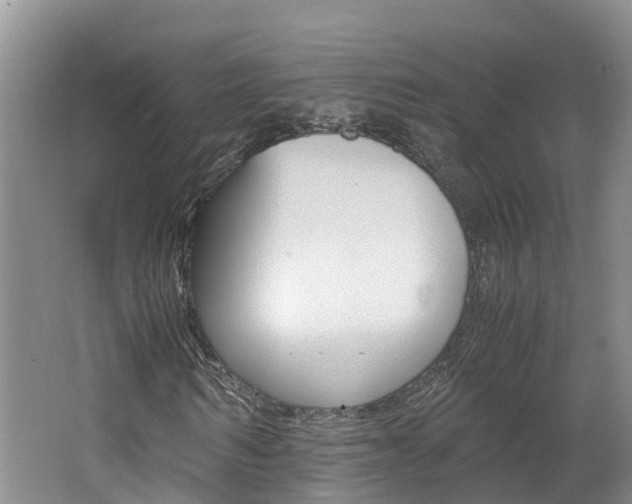 X0000062650962200512211030