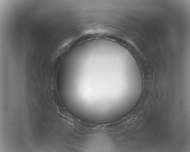 X0000062650967200512211030