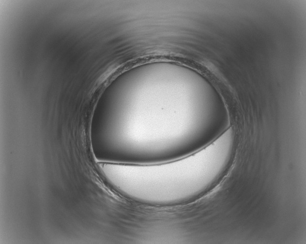 X0000062650969200512211030