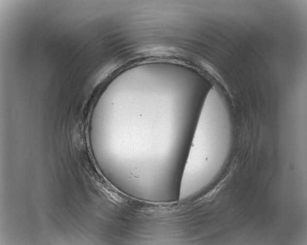 X0000062650970200512211029