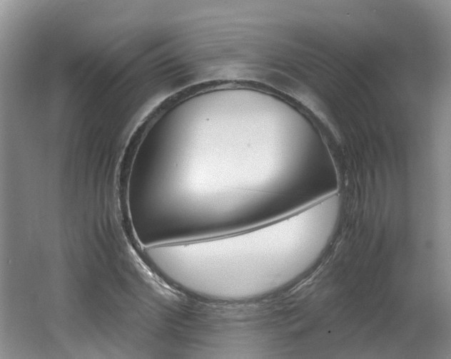 X0000062650972200512211029
