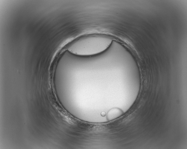 X0000062650974200512211029