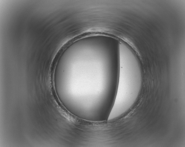 X0000062650976200512211029