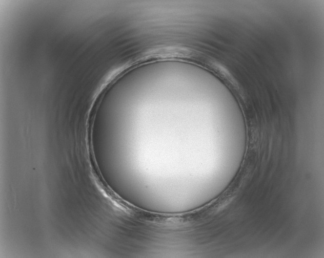 X0000062650986200512211029