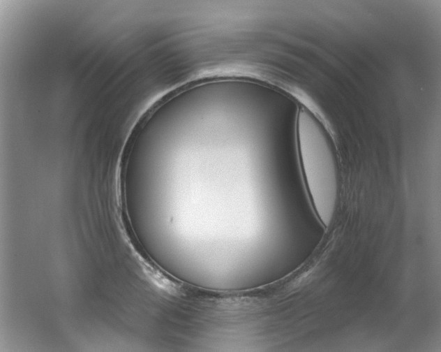 X0000062650988200512211029