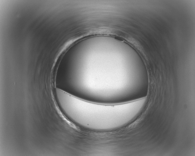 X0000062650989200512211029