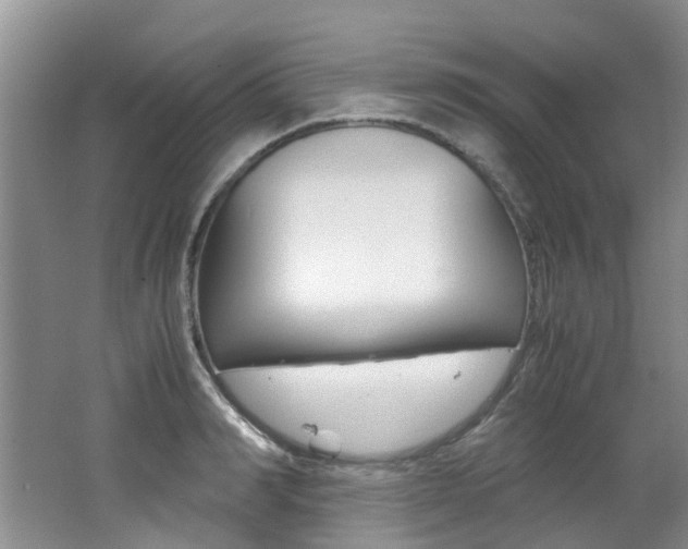 X0000062650990200512211029