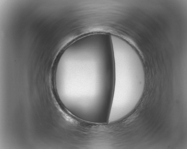 X0000062650991200512211029