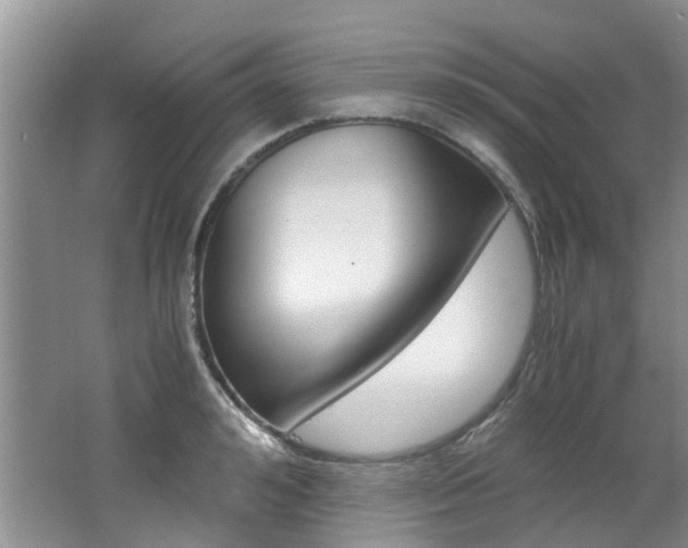 X0000062650992200512211029