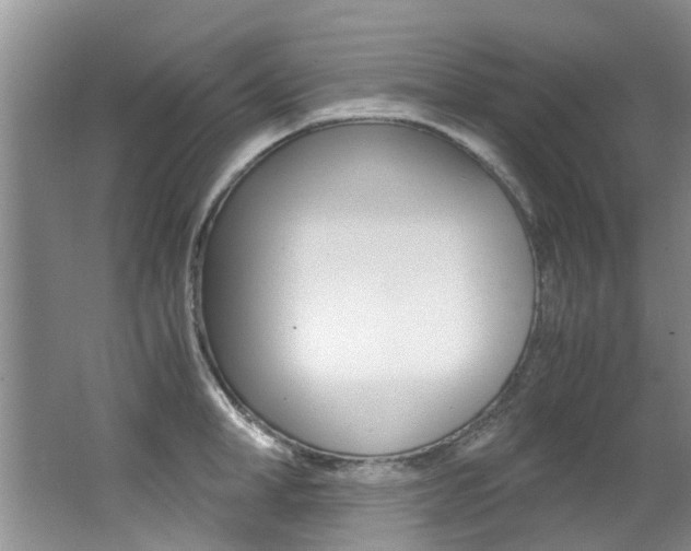 X0000062650998200512211029