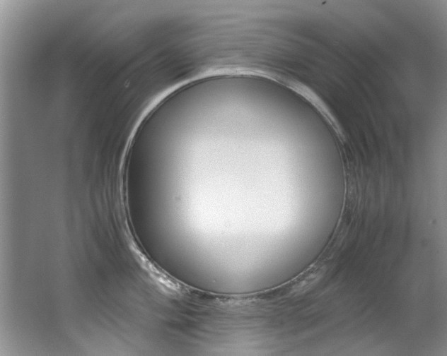 X0000062651004200512211029