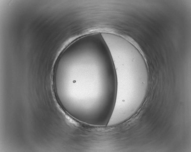 X0000062651005200512211029