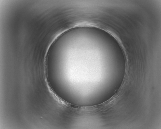 X0000062651008200512211029