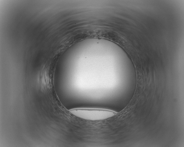 X0000062651013200512211028