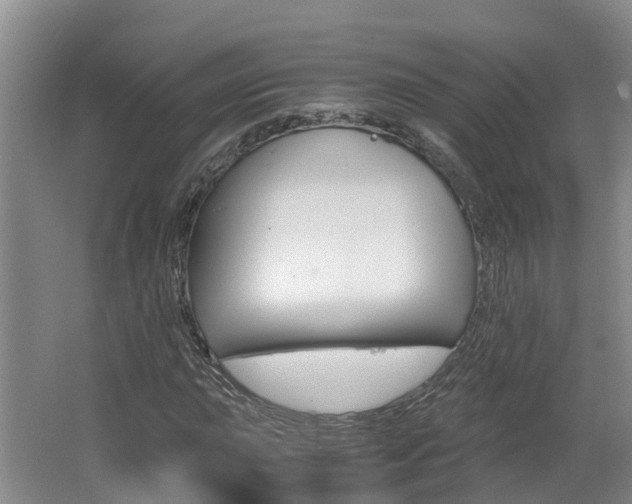 X0000062651015200512211028