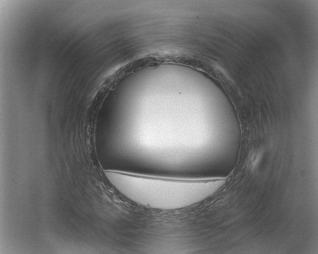 X0000062651016200512211028