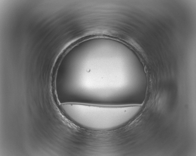 X0000062651020200512211028