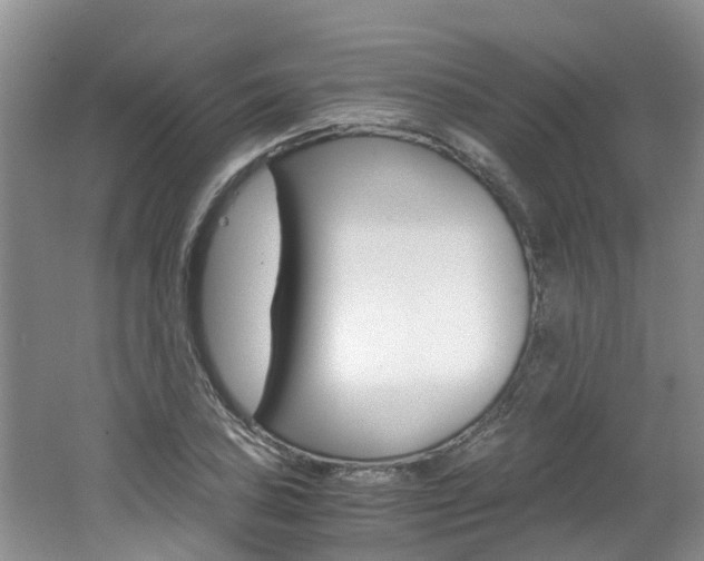 X0000062651027200512211028
