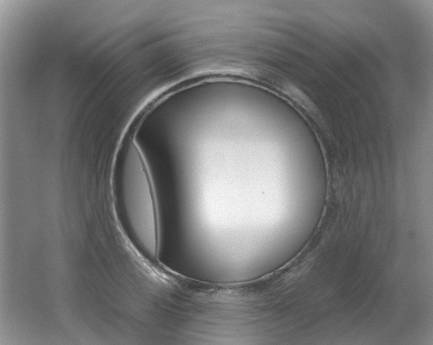 X0000062651028200512211028