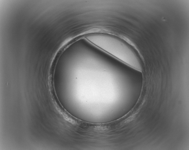 X0000062651029200512211028