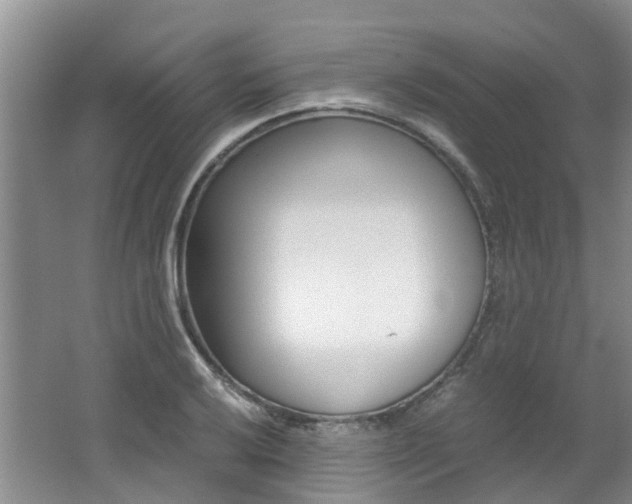 X0000062651032200512211028