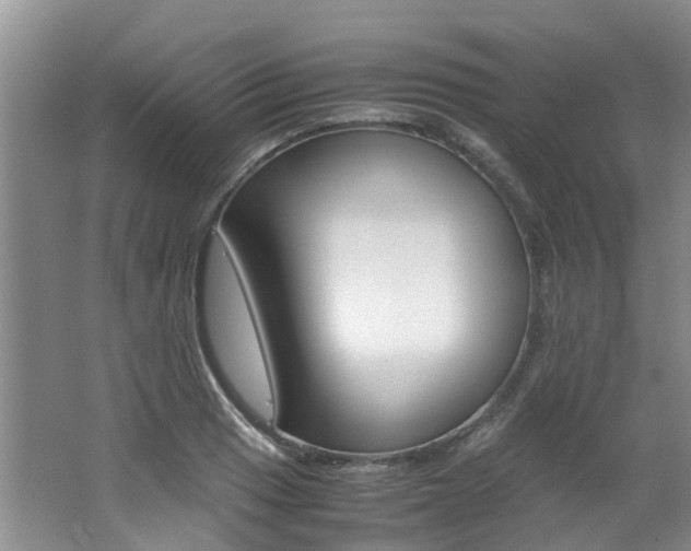 X0000062651033200512211028
