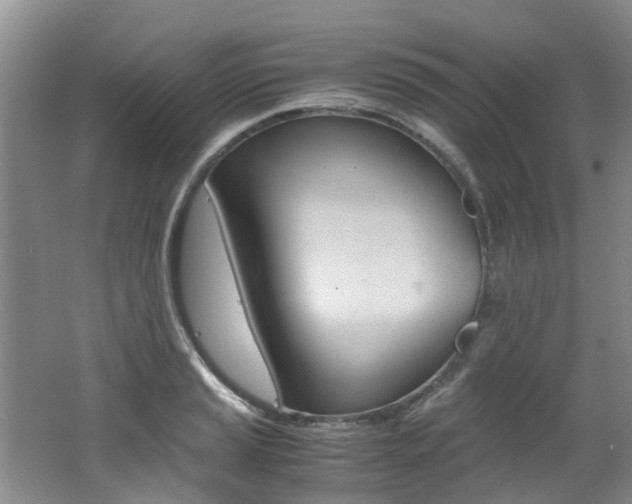 X0000062651037200512211028