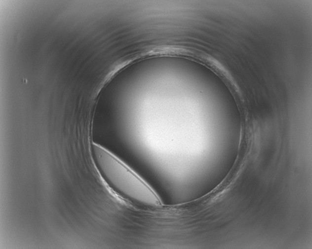 X0000062651041200512211029