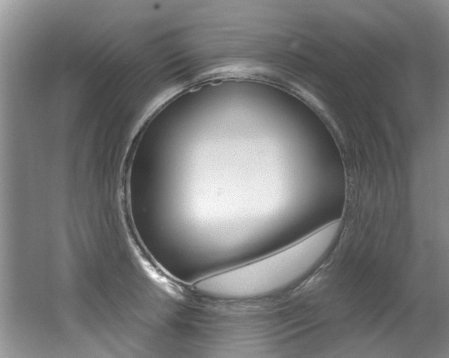 X0000062651042200512211029