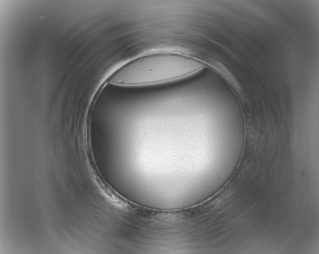 X0000062651044200512211029