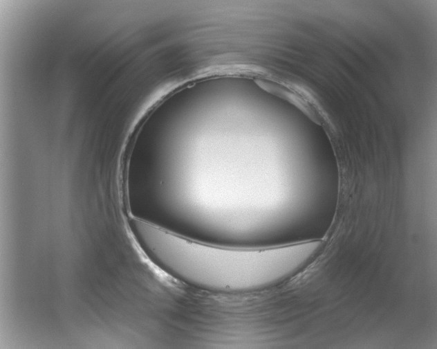 X0000062651046200512211029