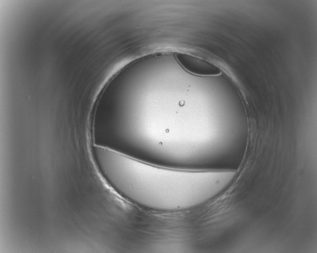 X0000062651048200512211029