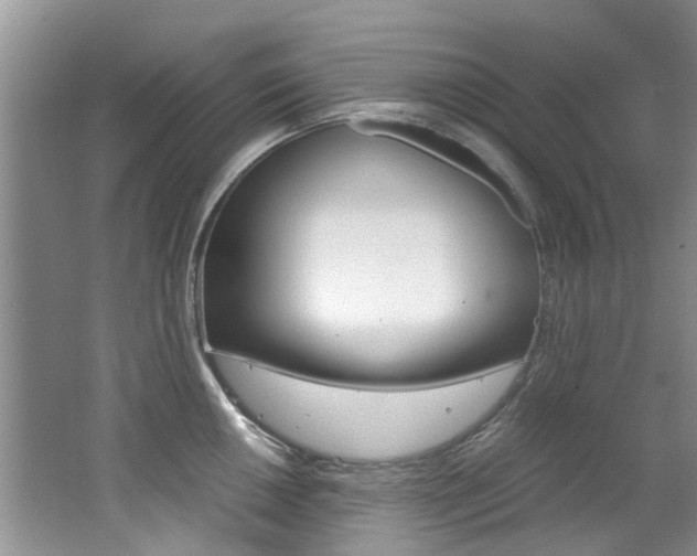 X0000062651050200512211029