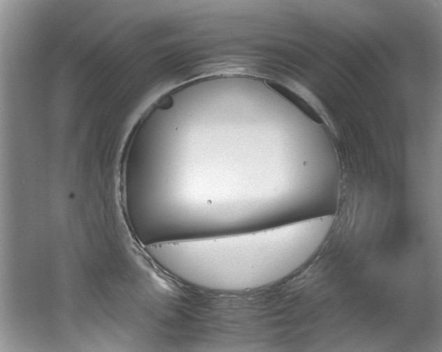 X0000062651051200512211029