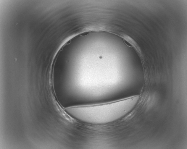 X0000062651052200512211029