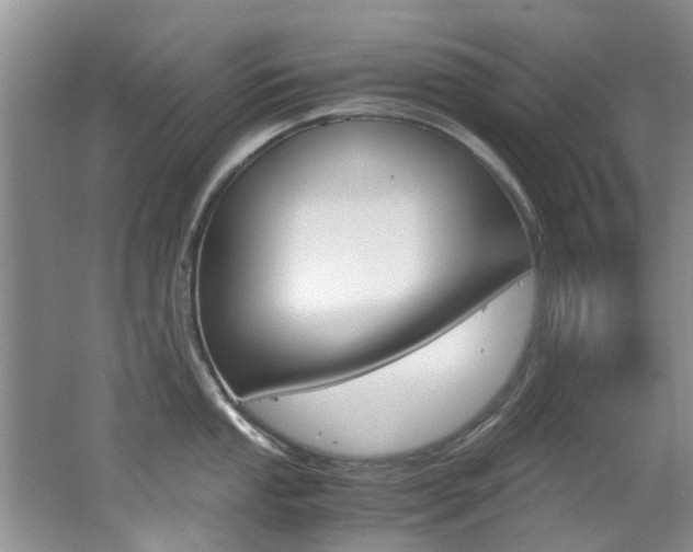 X0000062651053200512211029