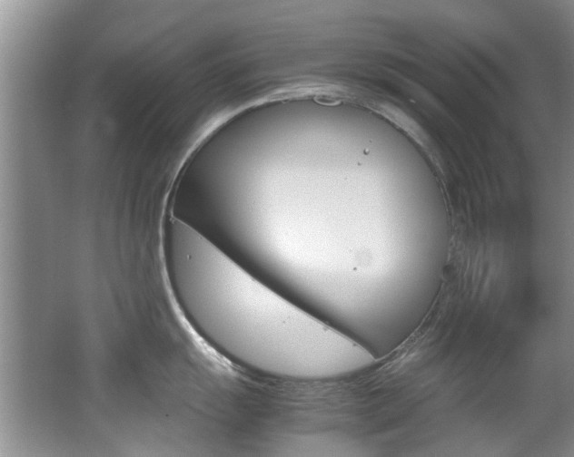 X0000062651055200512211029