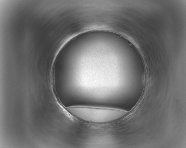 X0000062651056200512211029
