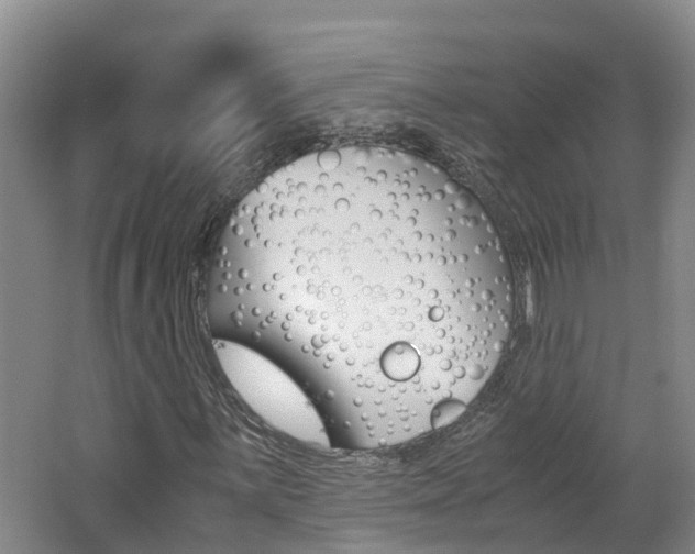 X0000062651059200512211028