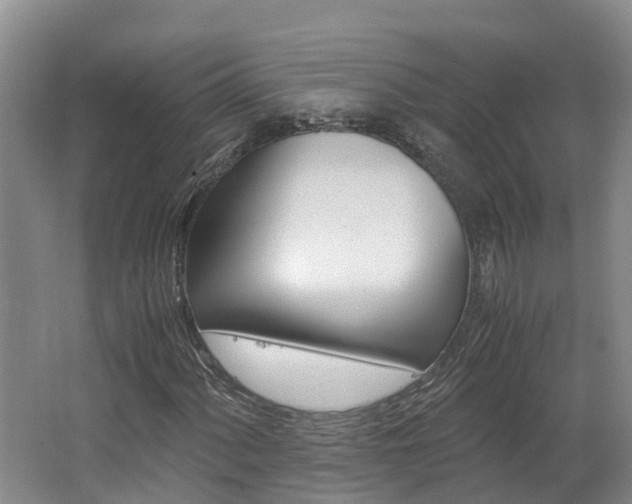 X0000062651060200512211028