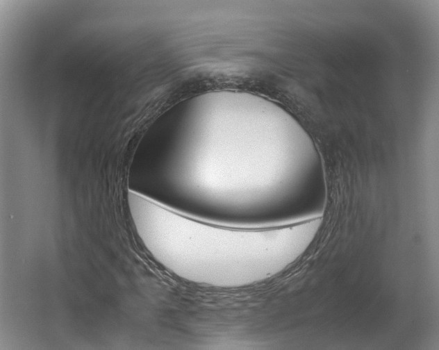 X0000062651061200512211028