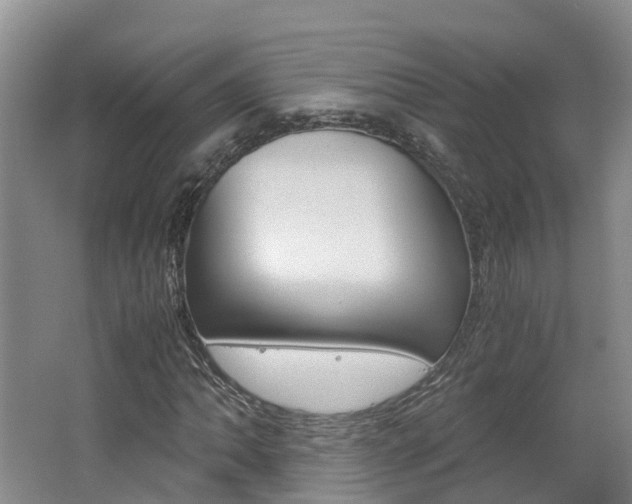 X0000062651062200512211028